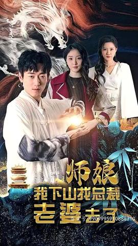 師娘，我下山找總裁老婆了