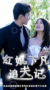 紅娘下凡追夫記